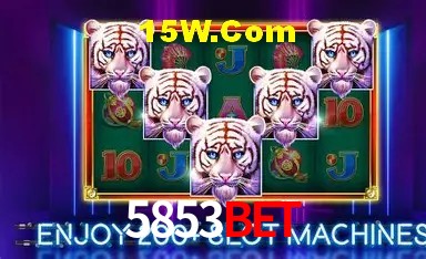 Recursos de Bônus 5853bet